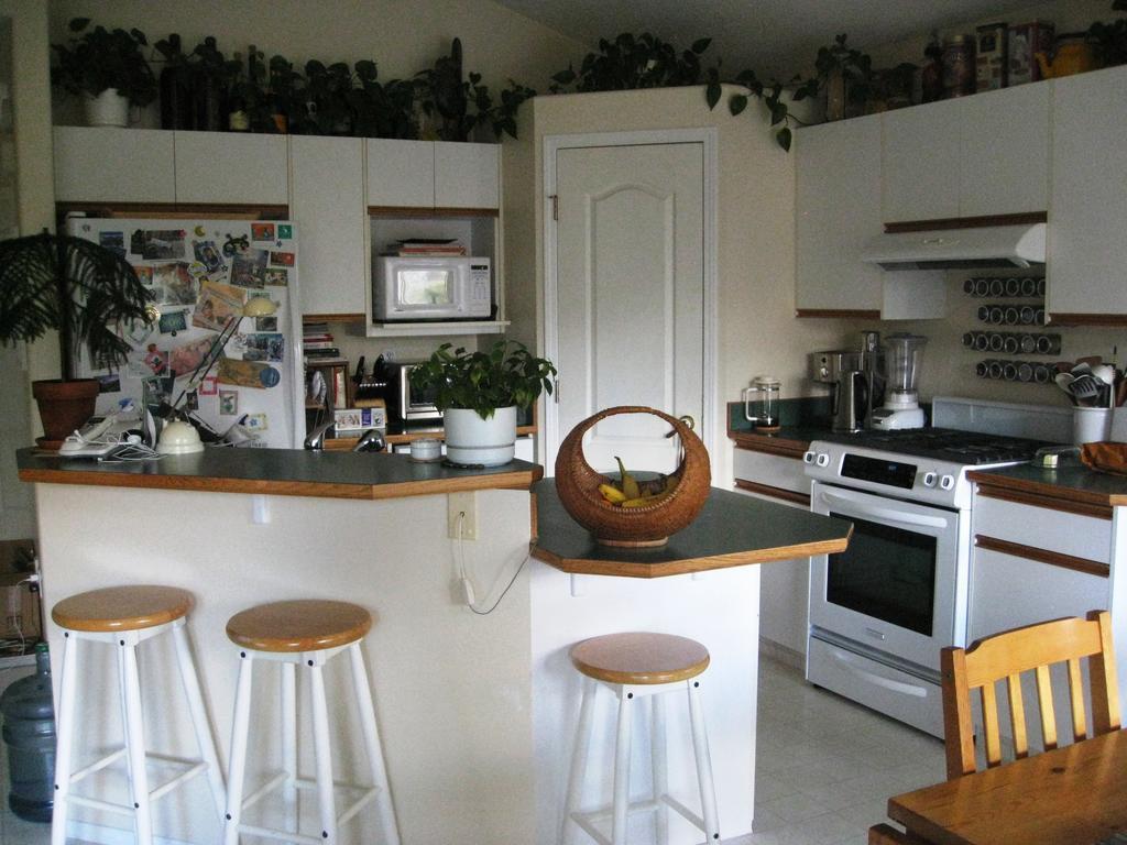 Avens Renaissance B&B Canmore Esterno foto