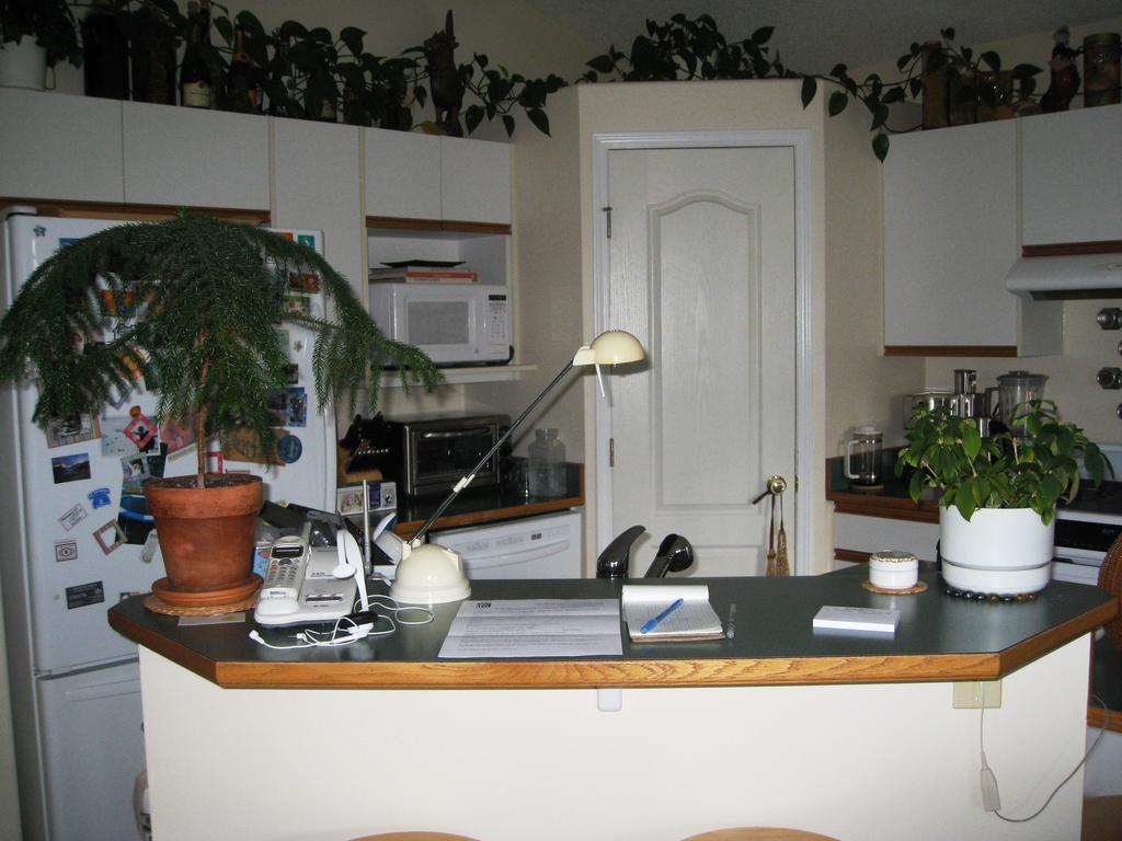 Avens Renaissance B&B Canmore Esterno foto